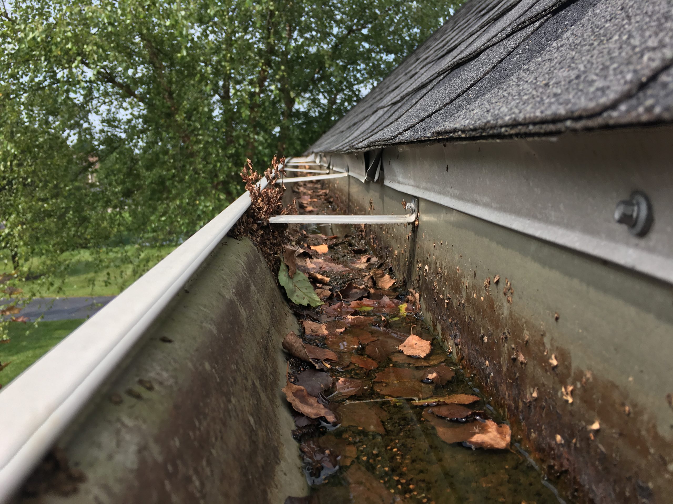 My gutters clog. Should I remove them? | Gutter Guards Direct