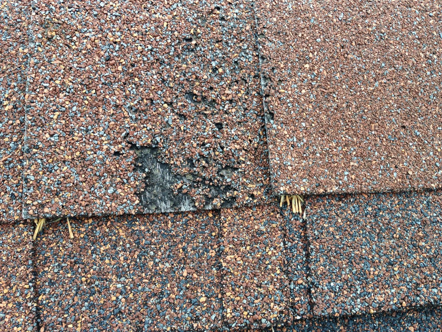 hailstormshingledamage Gutter Guards Direct