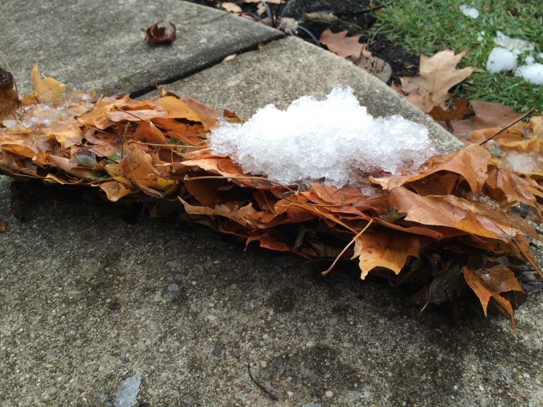 Ice block removed from gutter