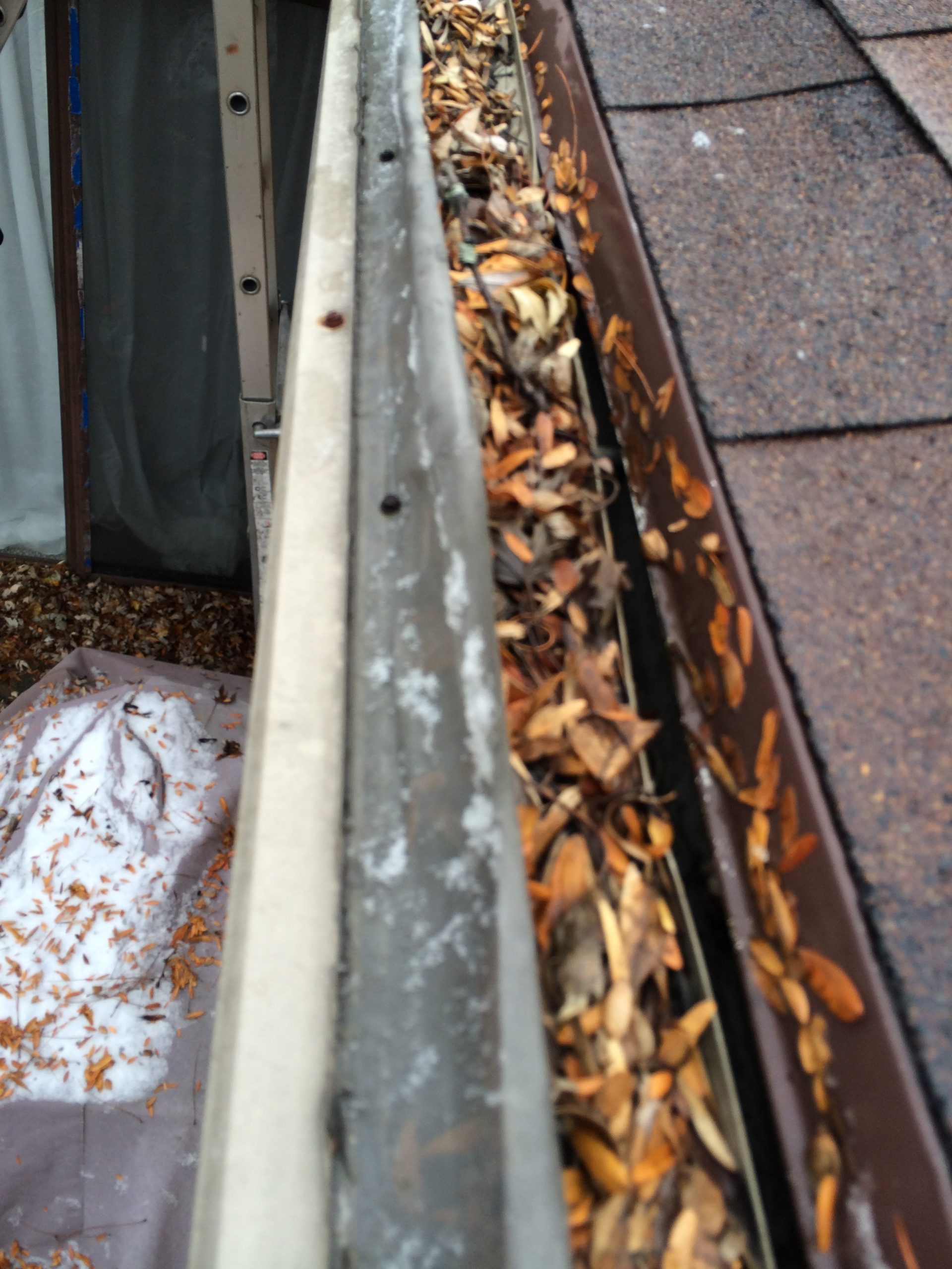 IMG_7267 Gutter Guards Direct