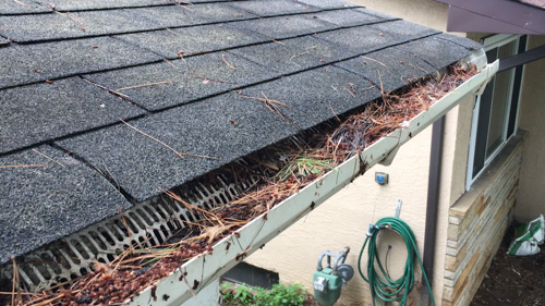 How We Helped A Client Score New Nearly Free Roof Gutter Guards What S The Best Gutter Guard For Pine Needles