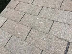 roof shingle hail damage