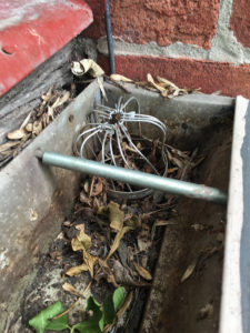 wire mesh downspout stopper that is clogged with leaves