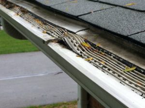 leaffilter Gutter Guard missing its screen and warped from uv rays