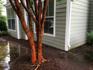 leaky basement water pooling on ground