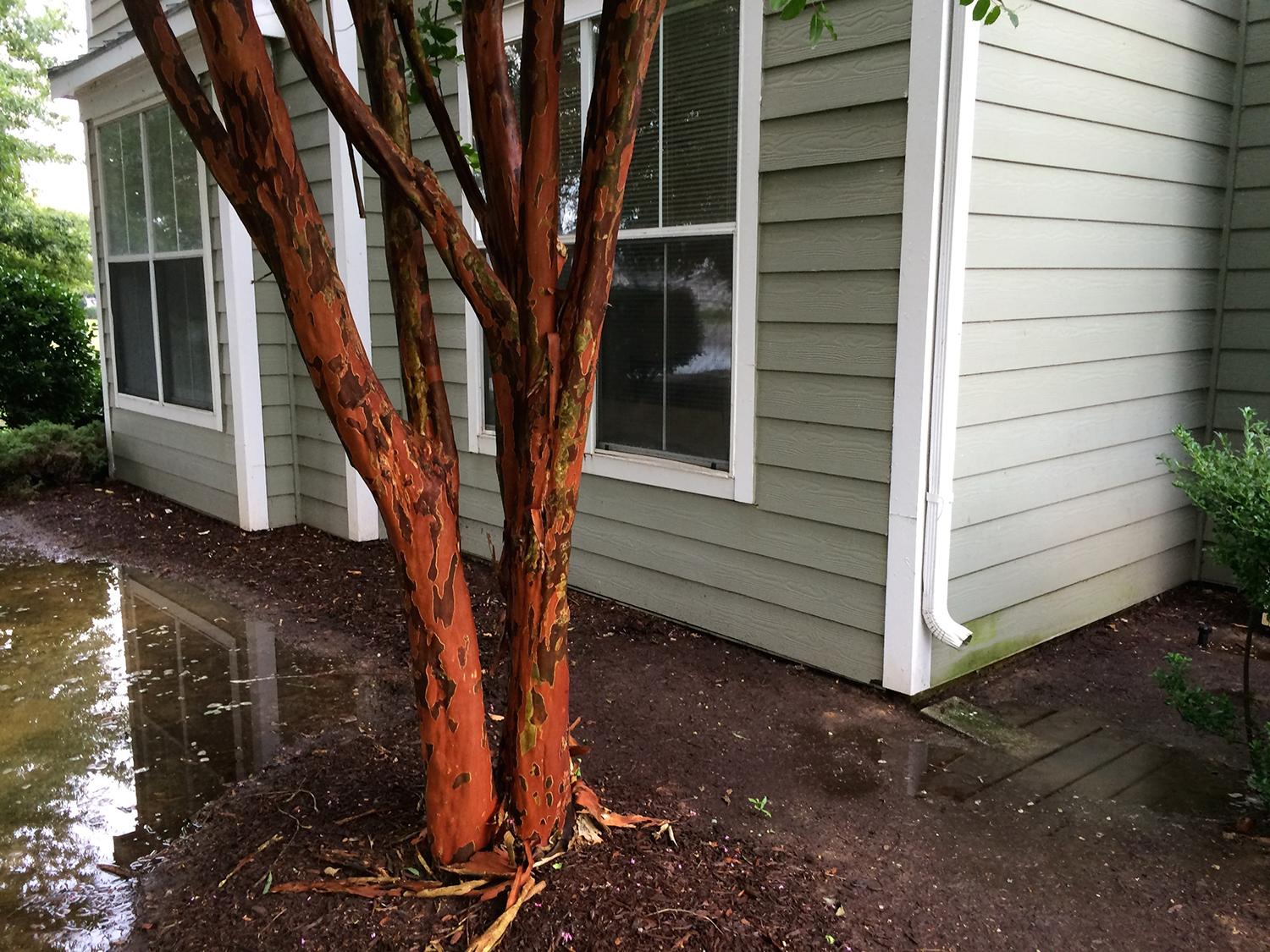 leakybasementwaterpoolingfoundation Gutter Guards Direct
