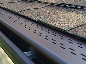 Leaf Free Gutter Guard