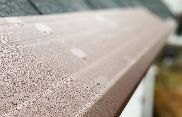 Gutter Guard installed on a roof