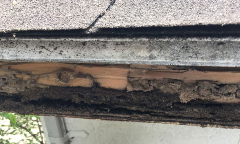 wood-rot-water-damage