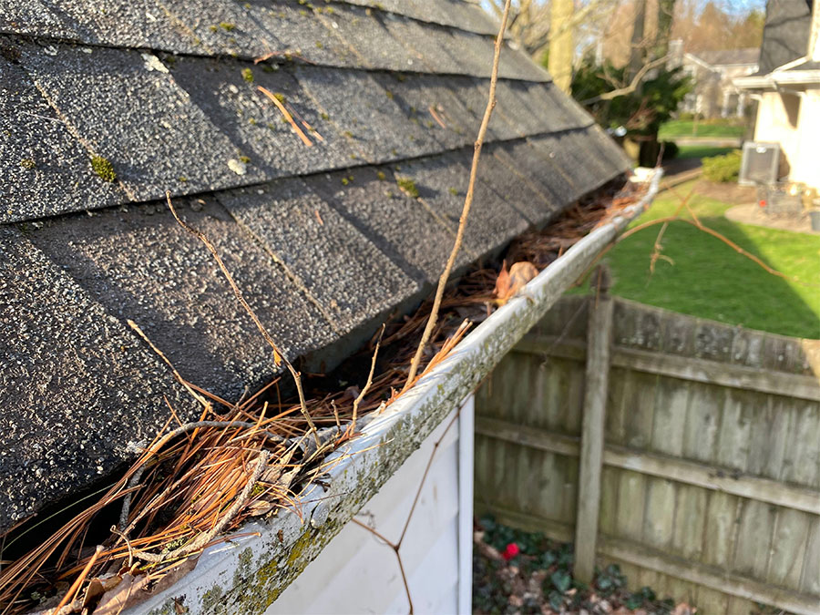 Gutters clogged with leaves and debris