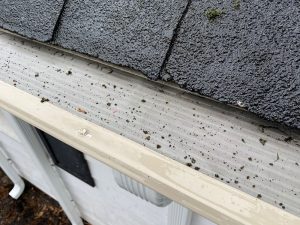 A photo of LeafFilter micro mesh gutter guard installed during the Ultimate Gutter Guard Challenge series on YouTube