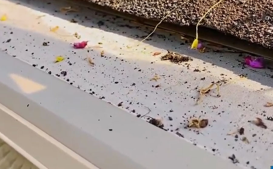 leaffilter-gutter-guard-review | Gutter Guards Direct Photo of LeafFilter micro mesh gutter guard after being installed for one month as part of the ultimate gutter guard challenge series on YouTube.