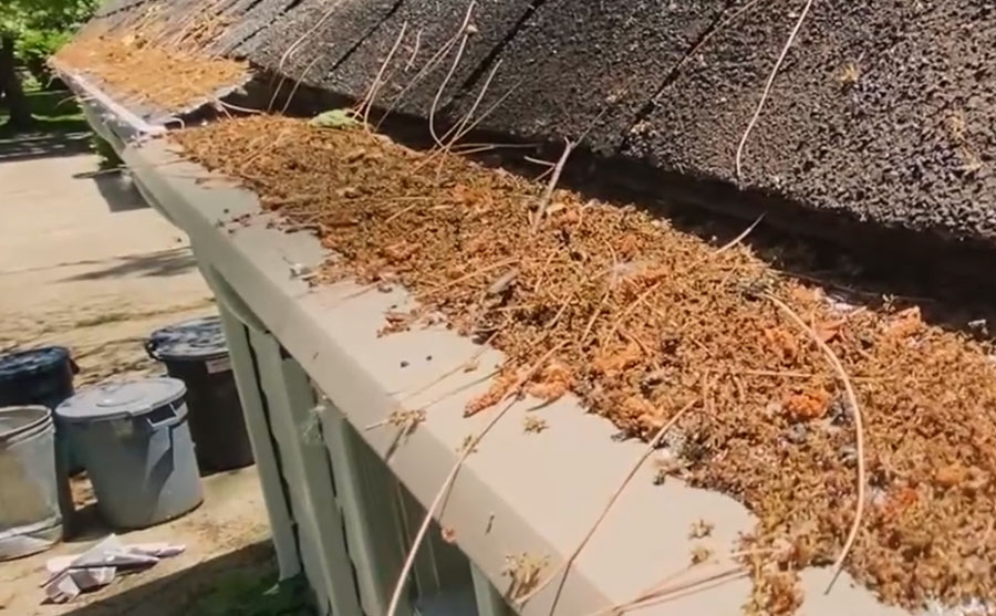 S1 E9 How are Consumer Reports Best Gutter Guards, LeafFilter and