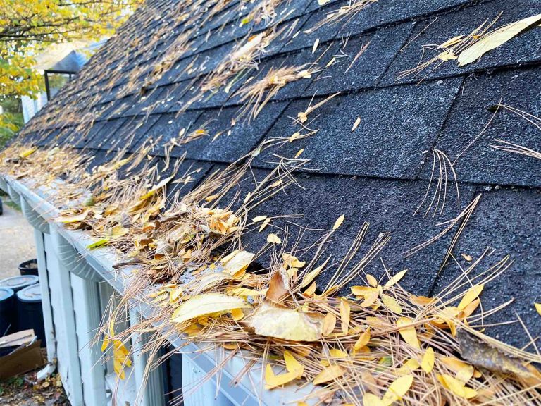 gutter guard reviews photo with pine needles and leaves sitting on top of different gutter guards