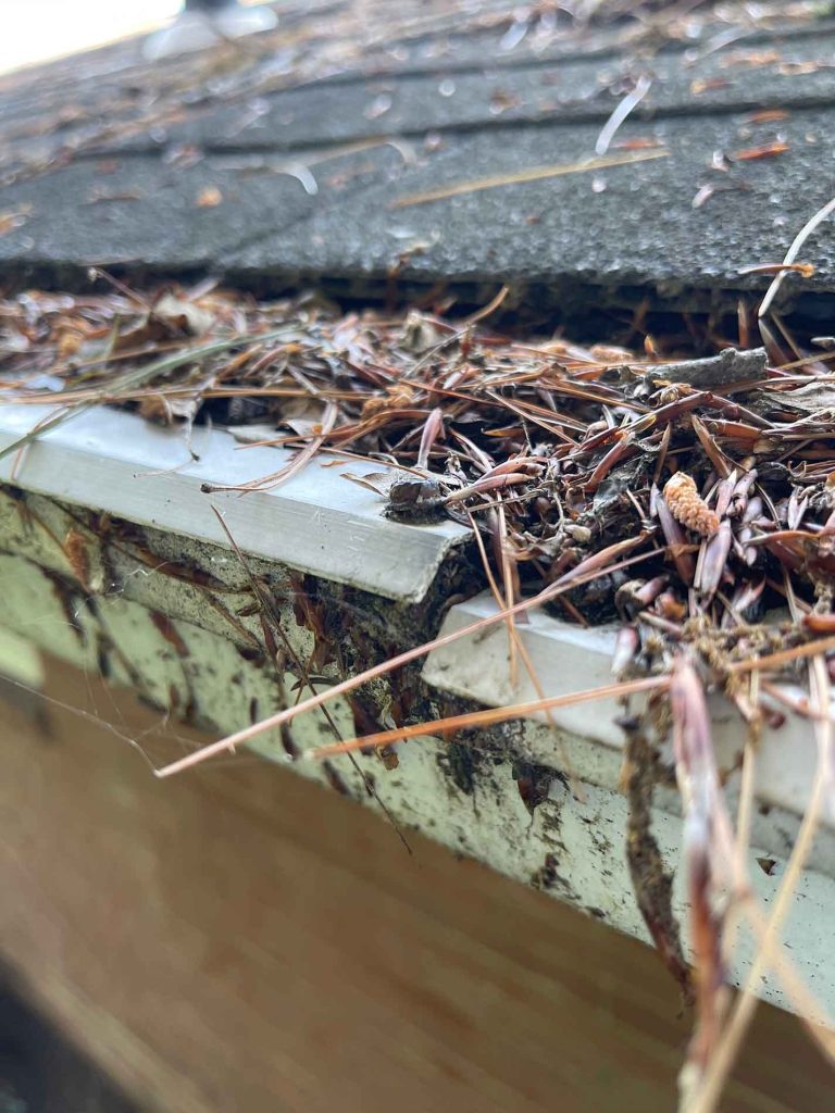 leaffilter gutter guard has warped at its end which caused the screw that held in place to pop out of the gutter. The gutter guard is covered in leaves and debris due to the fact that it sits flat in the gutter.