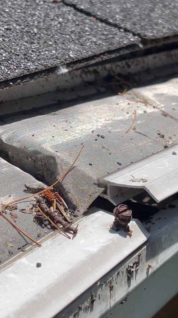 leaffilter gutter guards are warped at the end of each panel. this photo shows where the panel is raised off the front lip of the gutter and a screw holding the other panel in place has come undone due to expansion and contraction