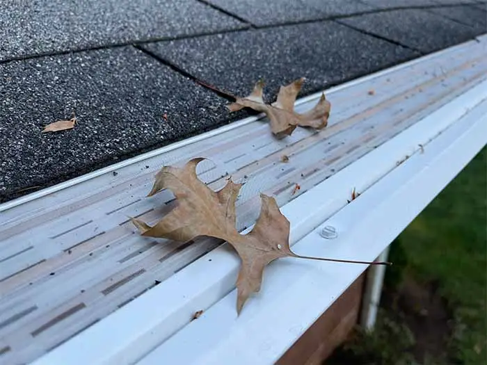 white mastershield gutter guards panel installed over new 6" white seamless gutters. two oak leaves gently sit on the top of the stainless steel and copper screen.