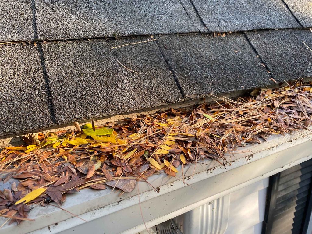 LeafFilter covered with leaves, seed pods and pine needles on 6-inch gutters during Ultimate Gutter Guard Challenge